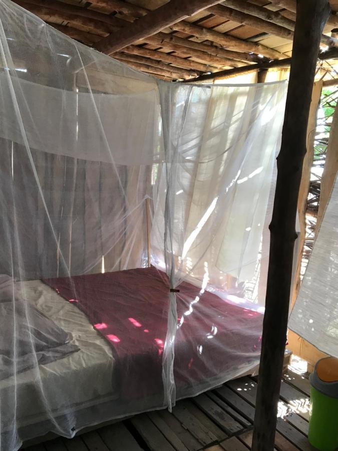 ホテル Miguel Surf Camp ケポス エクステリア 写真