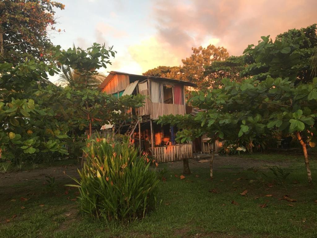 ホテル Miguel Surf Camp ケポス エクステリア 写真