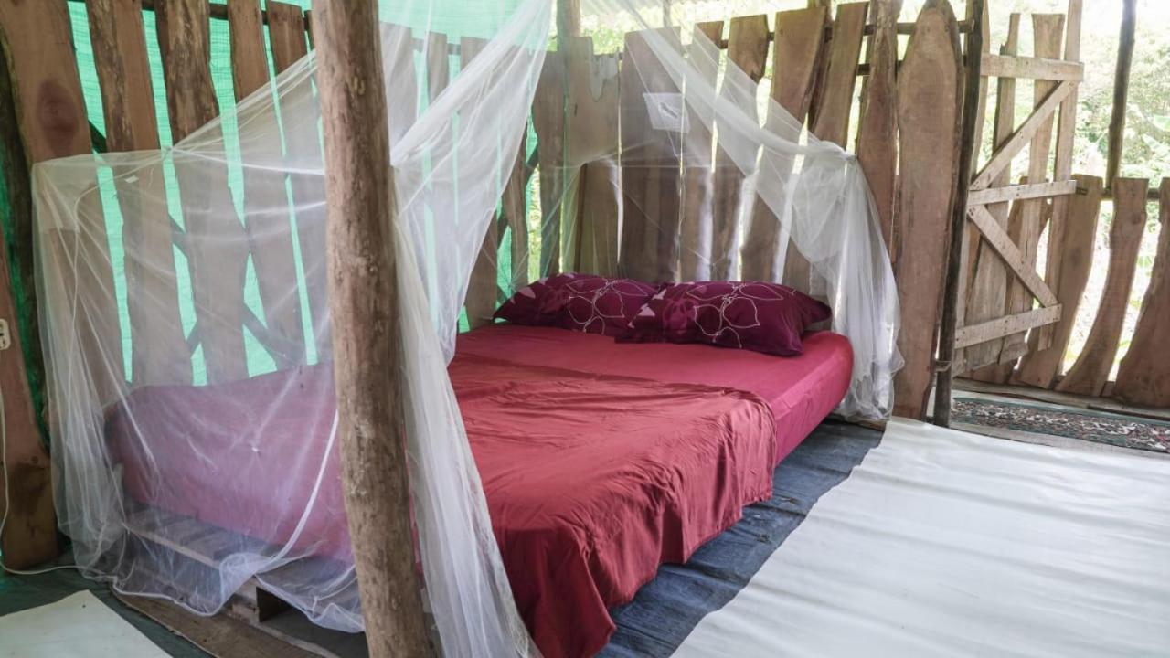 ホテル Miguel Surf Camp ケポス エクステリア 写真