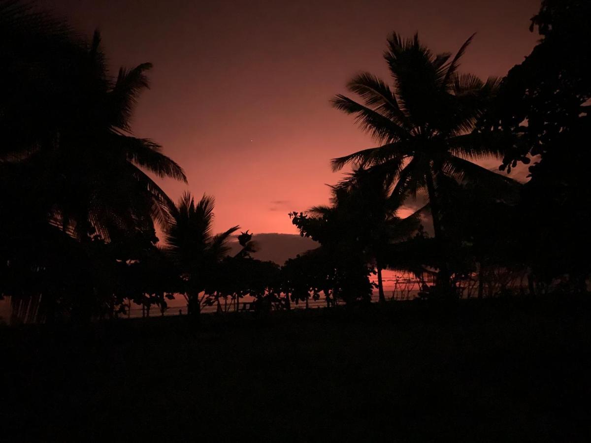 ホテル Miguel Surf Camp ケポス エクステリア 写真