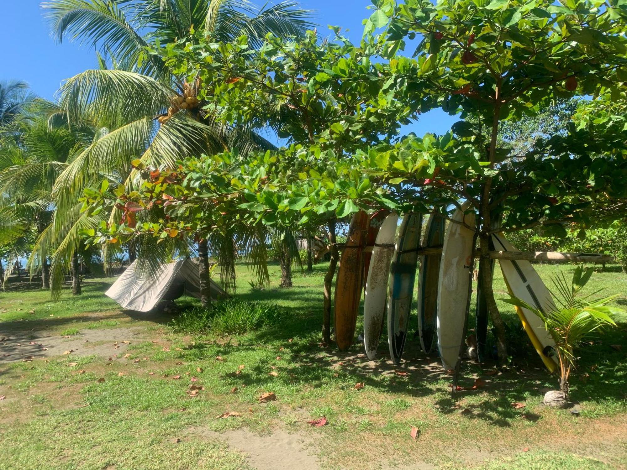 ホテル Miguel Surf Camp ケポス エクステリア 写真