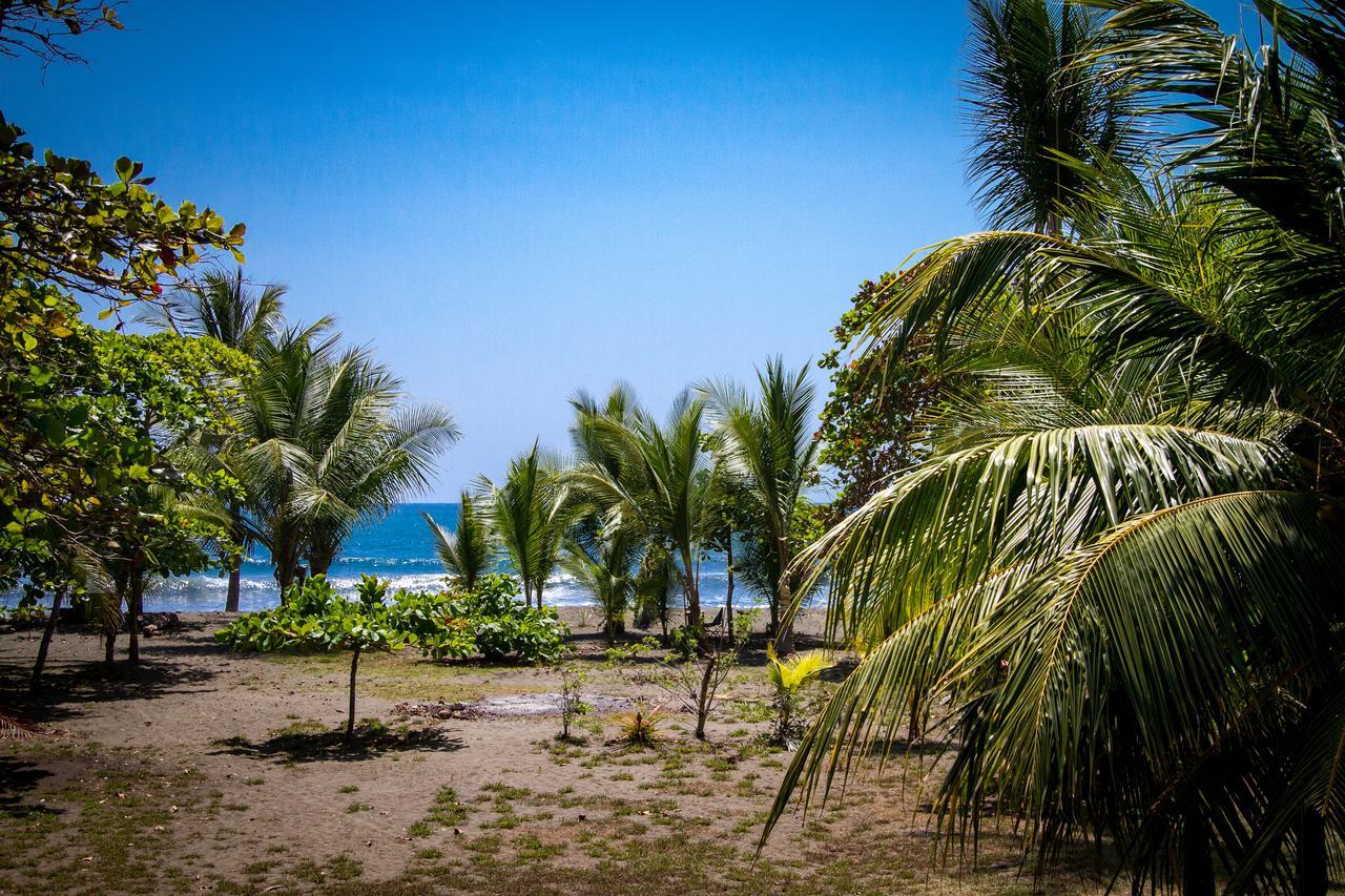 ホテル Miguel Surf Camp ケポス エクステリア 写真