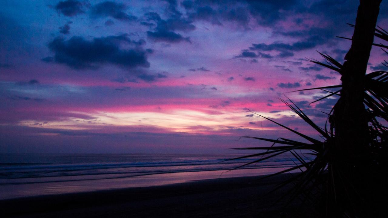 ホテル Miguel Surf Camp ケポス エクステリア 写真